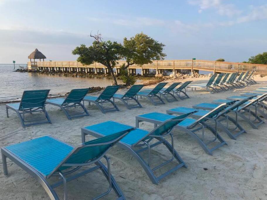 Welcome To The Pelican Lodge ! Tavernier ภายนอก รูปภาพ